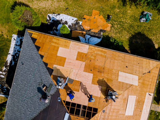 Best Roof Gutter Cleaning  in Cave Spring, VA