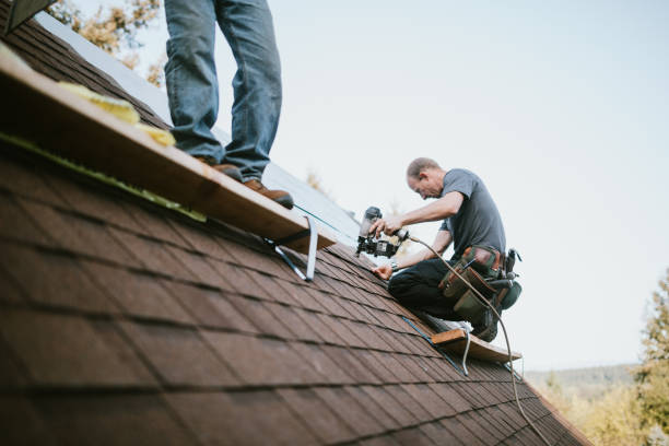 Best Roof Leak Repair  in Cave Spring, VA